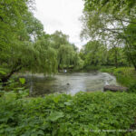 Stow. Park i Dworek w Komornie
