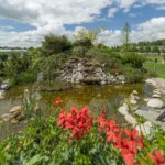 Park Dworku Komorno dworek park (9)